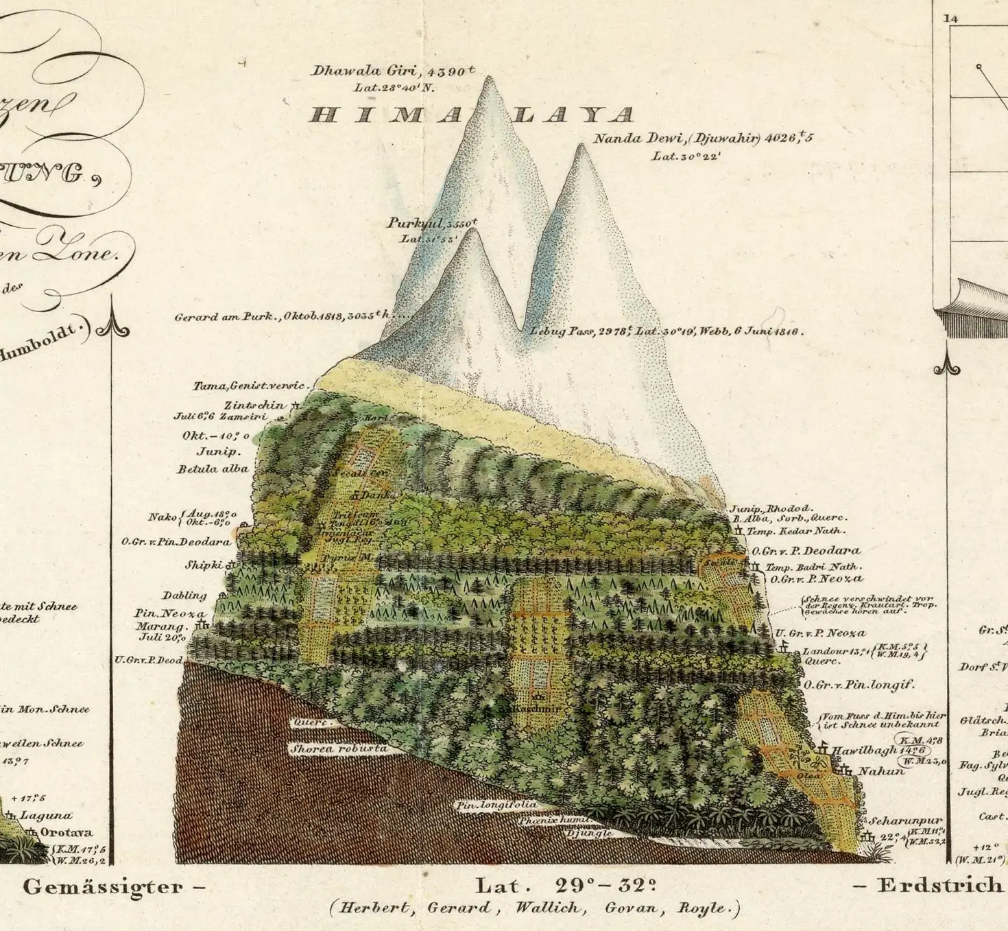 Hand-drawn cartographic diagram showing the different ecological regions of the Himalaya mountains, from forest at the bottom to bare alpine at the top.