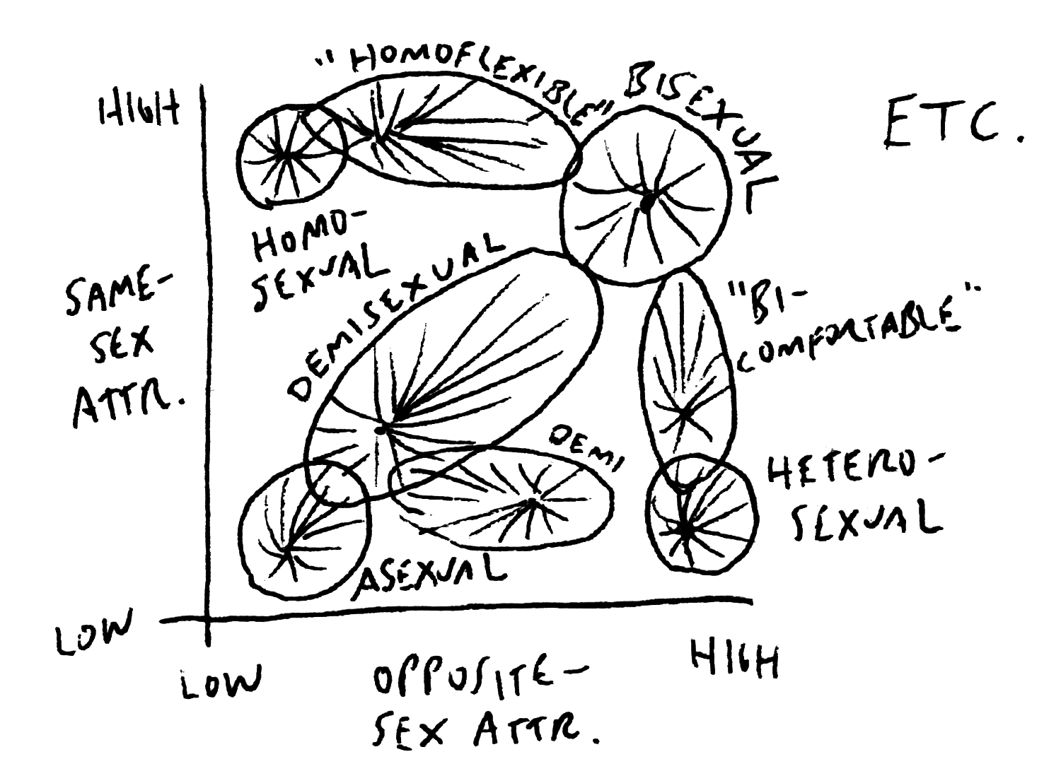 This hand-sketched diagram has two axes, same-sex attraction from low to high, and opposite-sex attraction from low to high. The plot shows the region divided into regions labeled “homoflexible,” “bisexual,” “bi-comfortable,” “heterosexual,” “demi-sexual,” and “asexual,” showing that one can loosely organize various sexual identities across the degree to which a person experiences high or low same- and opposite-sex attraction. It also indicates a spectrum from asexual to demisexual to bisexual along the diagonal.