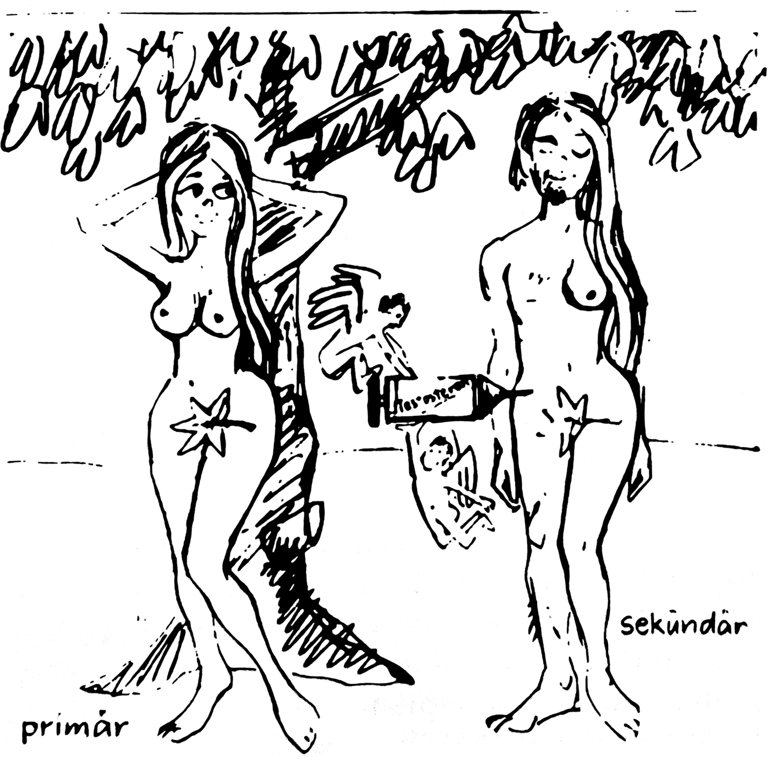 A two-part comic. In the first part Adam is seated beneath a tree with a stitched up incision beneath his ribs. Beneath him it says “primar.” Above him a bone is transforming into Eve. Little angels are helping with this. Beneath her it says “sekundar.” In the second comic, Eve leans against the tree, beneath her it says “primar.” Standing next to her stands Adam, half male, half female, whom the angels are injecting with testosterone. Beneath “him” it says “sekundar”.