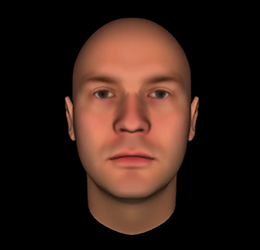 A computer animation of a bald head. The face has masculine features and lowered eyebrows and slightly scowling.