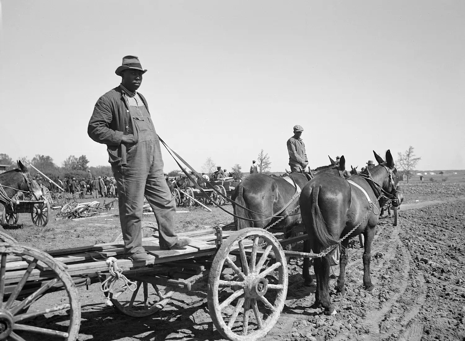 A black farmer standing on a horse-drawn wagon.