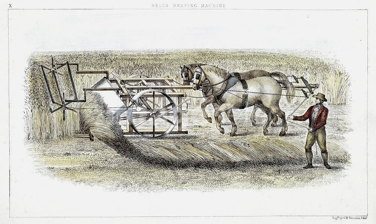 A man operates an elaborate contraption, pushed by two horses, that is reaping a field of wheat.