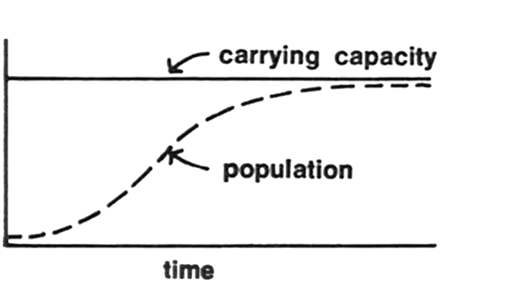 How population growth can change as it approaches the carrying capacity of its environment.