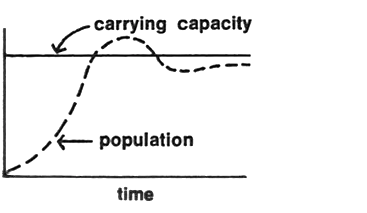 How population growth can change as it approaches the carrying capacity of its environment.