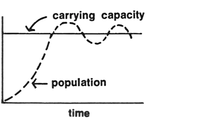 How population growth can change as it approaches the carrying capacity of its environment.