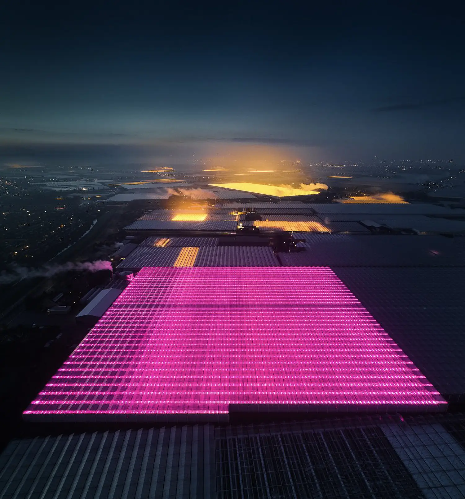 Aerial night photo shows green houses stretching to the horizon. Some are glowing with magenta or orange light, while others stand dark.