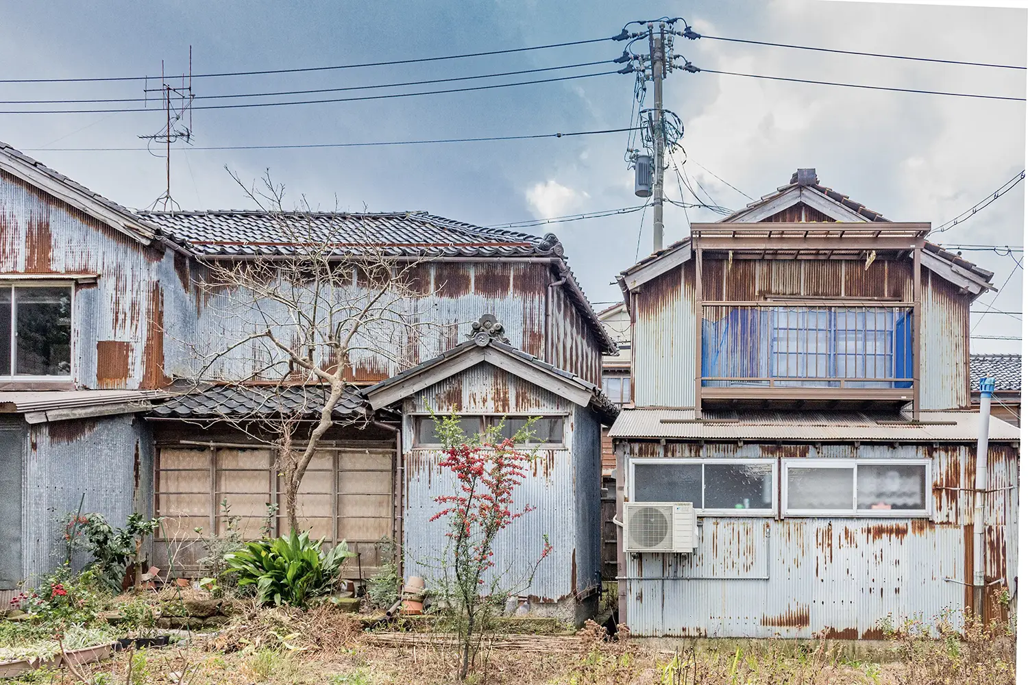 Abandoned homes covered in rust and surrounded by unkempt gardens.