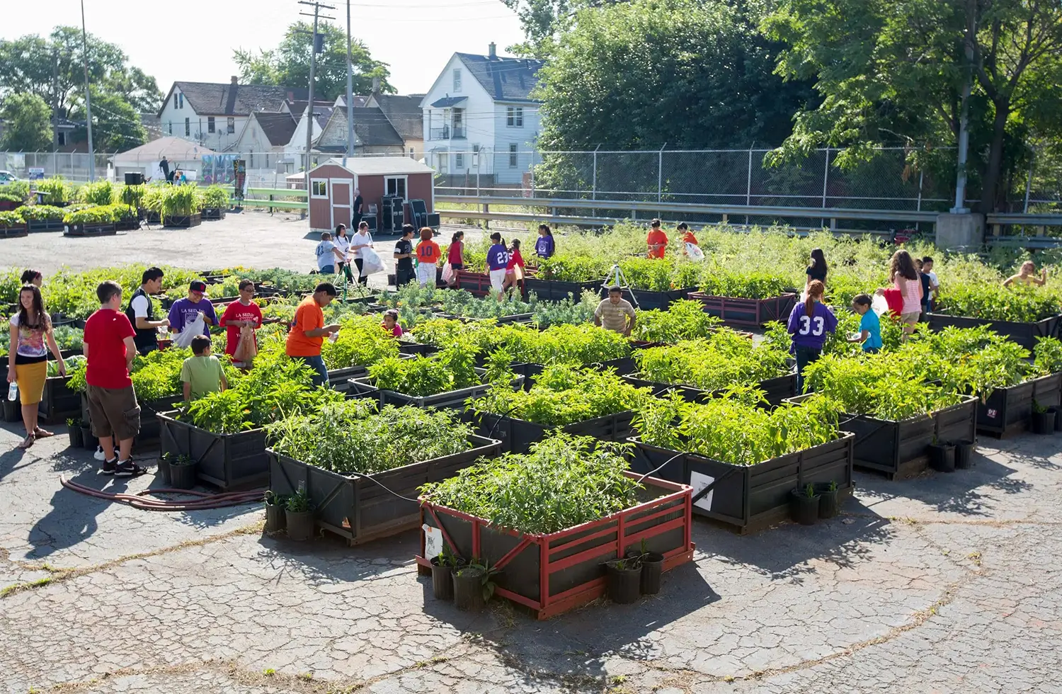 Children and some adults tend to a garden consisting of rows of industrial crates repurposed as raised beds.
