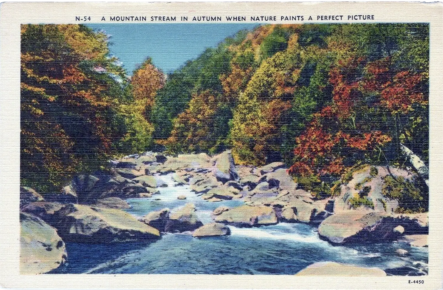 A wilderness scene showing a forest of green, yellow, orange and red hues through which runs a stream.